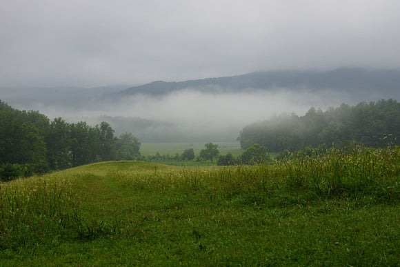 Summer in the Smokey Mountains by Ann Allison Cote'