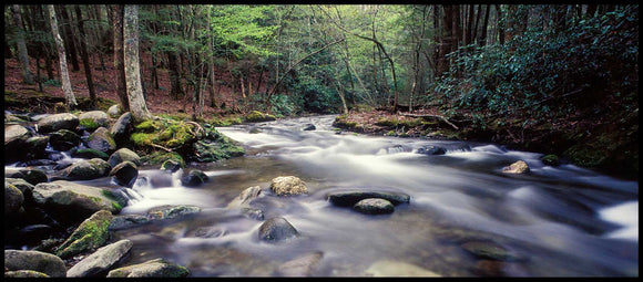 Cades Cove River II by Phil Savage