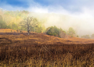 Fall with Blue Sky in The Great Smokey Mountains  by Ann Allison Cote"