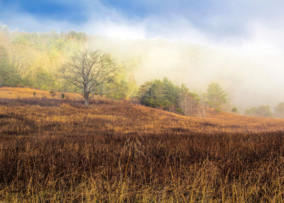 Fall with Blue Sky in The Great Smokey Mountains  by Ann Allison Cote