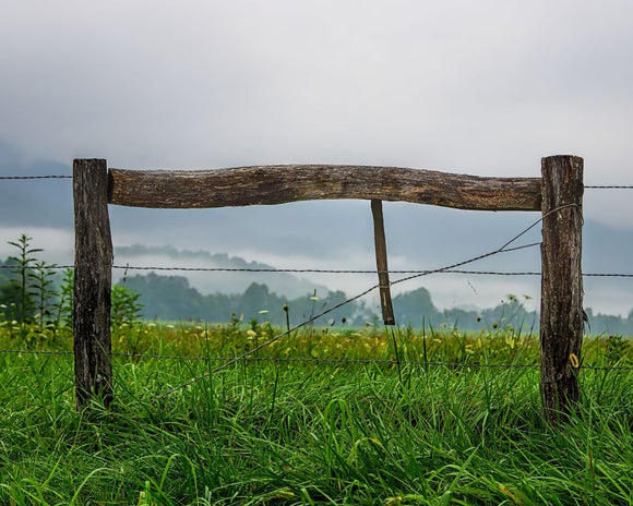 Fence Posts by Ann Allison Cote'