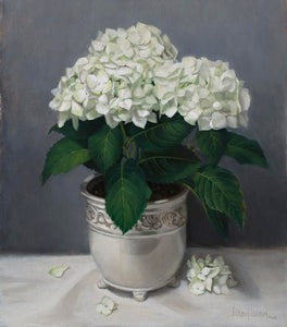 White Hydrangeas by Jeanne Leemon