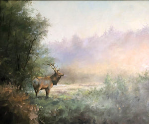 Elk on a Cold Morning  by Tom Bluemlien