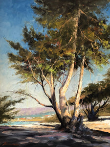 "Cypress Tree in Carmel" by Tom Bluemlien